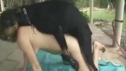 Удовлетворенная девушка глотает сперму пса после секс дог порно