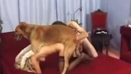 Усатый муж смотрит как собака ебет жену в письку зоо домашнее видео