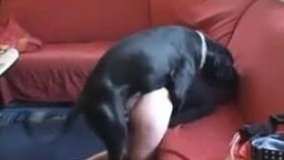 Леди без трусиков спаривается с псом перед мужем зоо онлайн секс