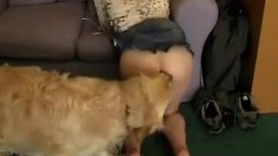 Стерва в короткой юбке занимается любовью с собакой видео зоо секс