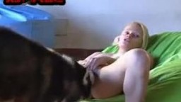Dog porn animals скачать хаски облизывает женское влагалище