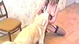Тощая старушка пытается потрахаться с домашней собакой