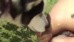 Хрупкая бразильянка ебется с псиной во дворе зоопорно видеофильм приватный