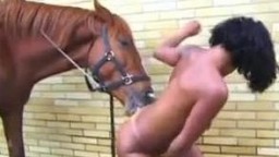 Horse zoo оголенные стройняшки хотят позаниматься сексом с лошадью