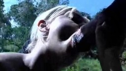Секс с конем отчаянная беляночка отсасывает жеребцу на лужайке zoo оральное