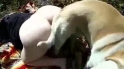 Sex dog блядь с упругой задницей пошпилилась с четырехлапым в бору зоопорно кино