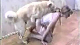 Ретро зоо скачать sex dogs сосет псу и отдается в пизду