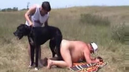 Отменный горловой минет с возбужденной бабой и собакой